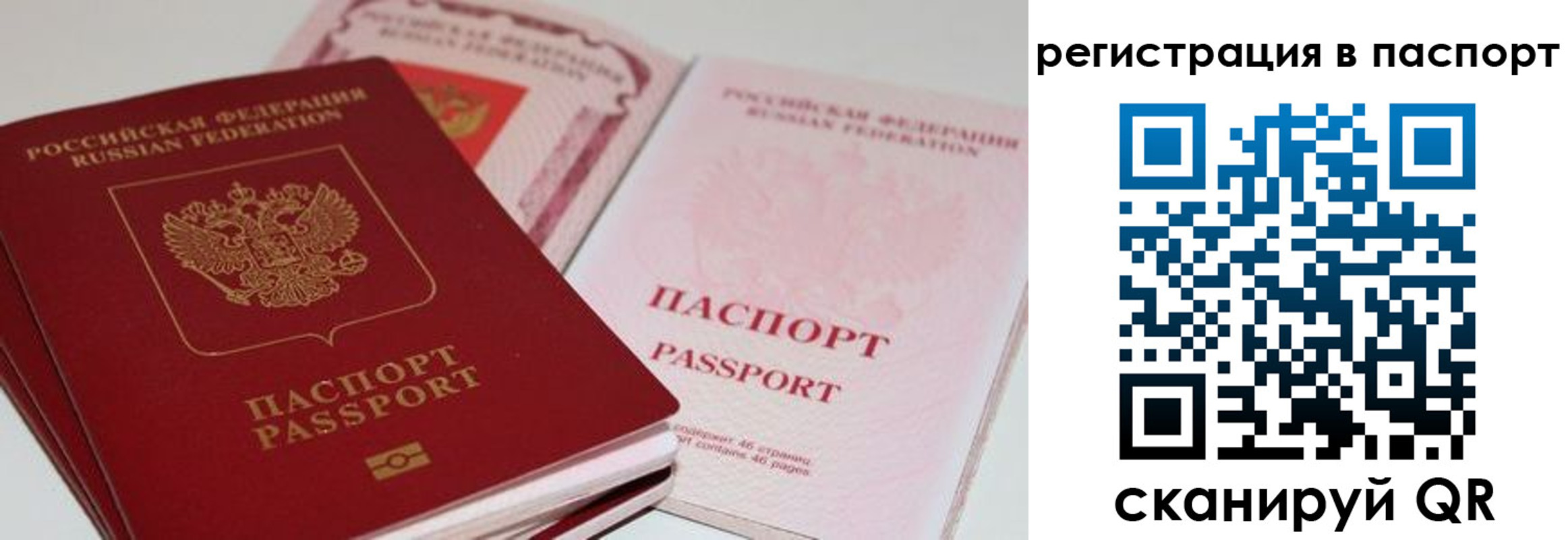 найти адрес прописки в Ртищево
